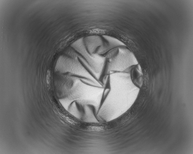 X0000080150649200701051540