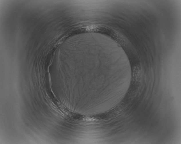 X0000080150650200701051540