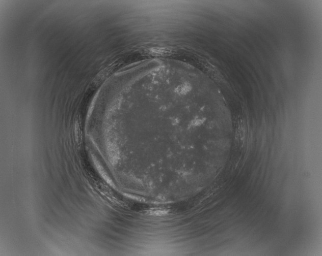 X0000080150651200701051540
