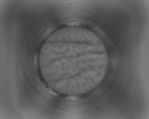 X0000080150652200701051540