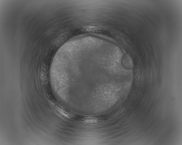 X0000080150653200701051540