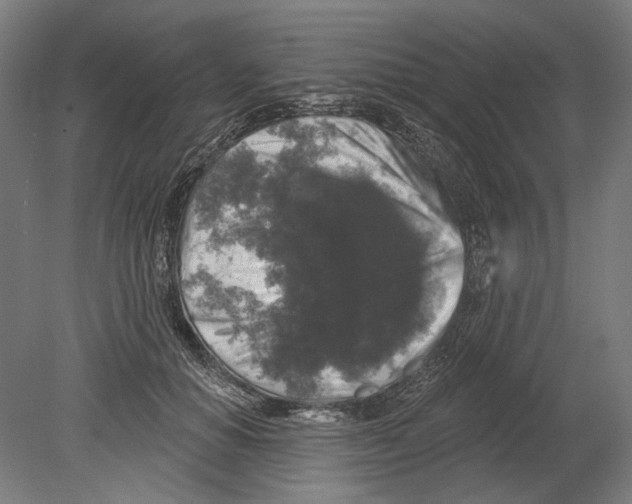 X0000080150654200701051540