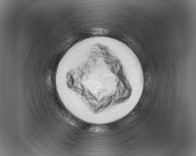 X0000080150655200701051541