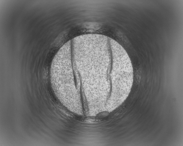 X0000080150657200701051541