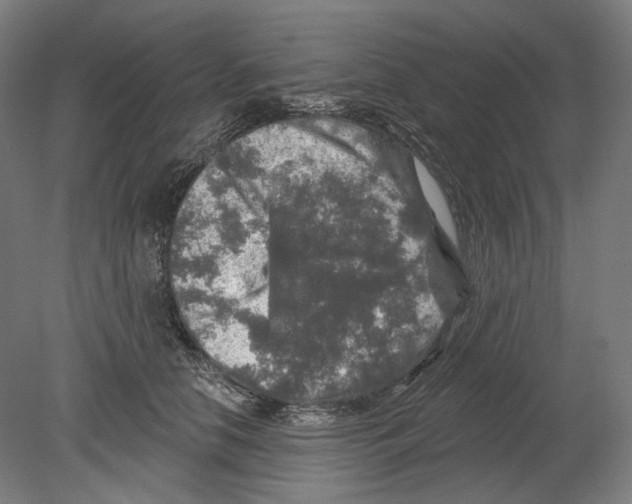 X0000080150658200701051541