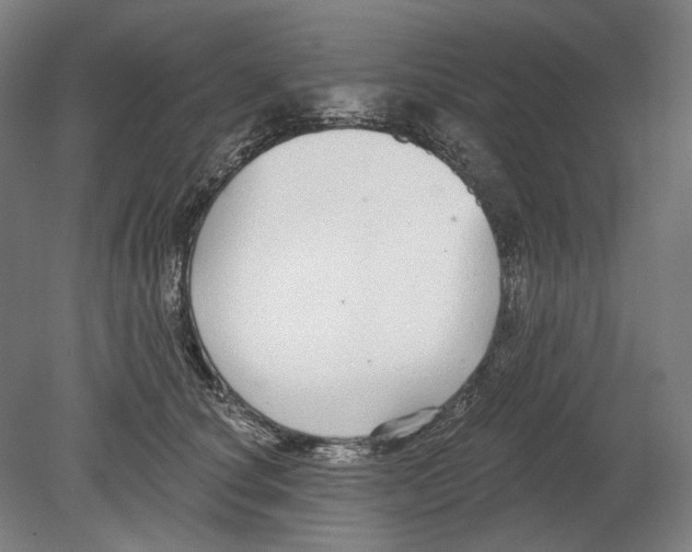 X0000080150660200701051541