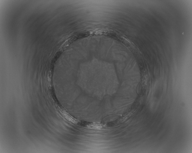 X0000080150661200701051541