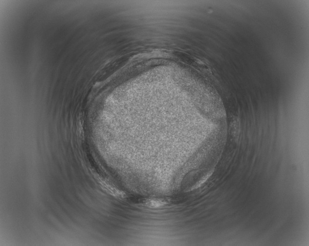 X0000080150662200701051541