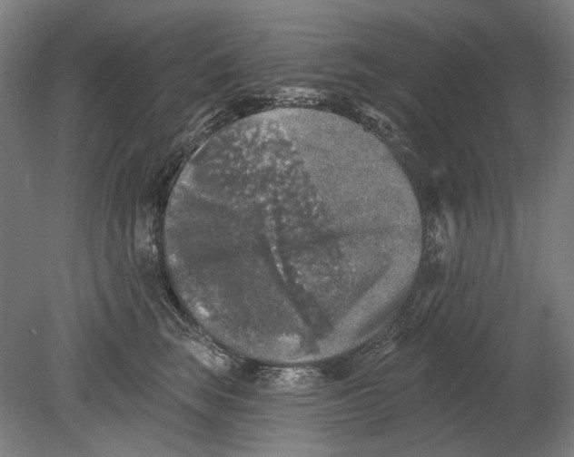 X0000080150663200701051541