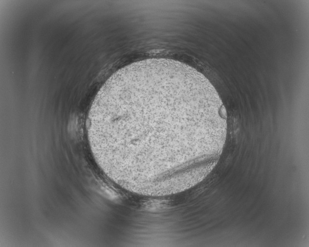 X0000080150664200701051541