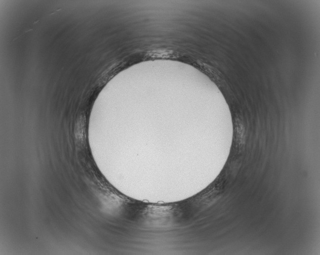 X0000080150665200701051541