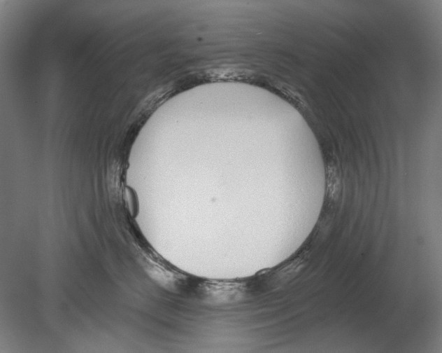 X0000080150670200701051541