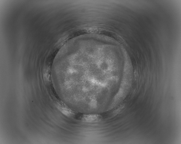 X0000080150671200701051541