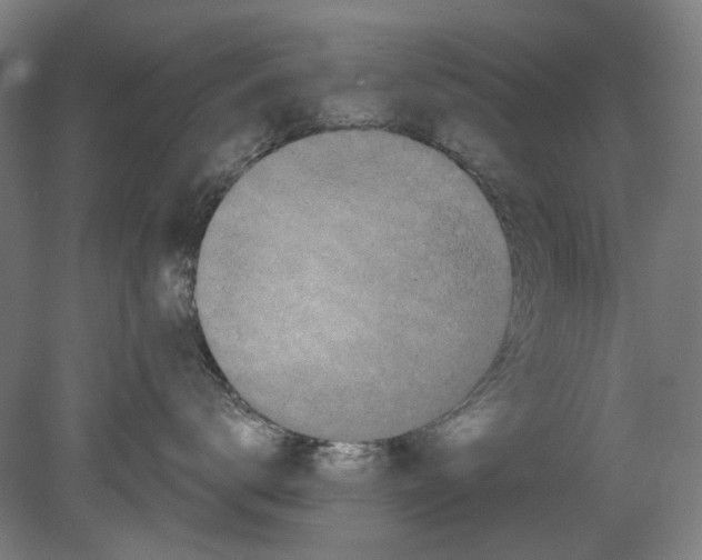 X0000080150672200701051541