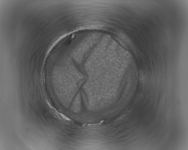 X0000080150676200701051540