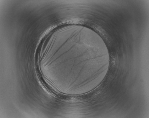 X0000080150678200701051540