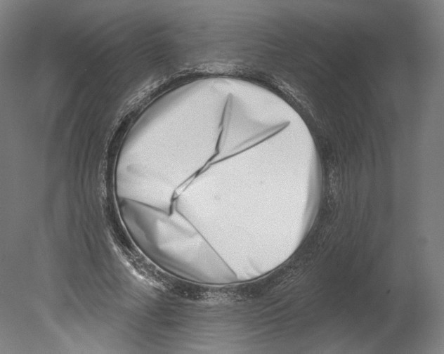 X0000080150682200701051540