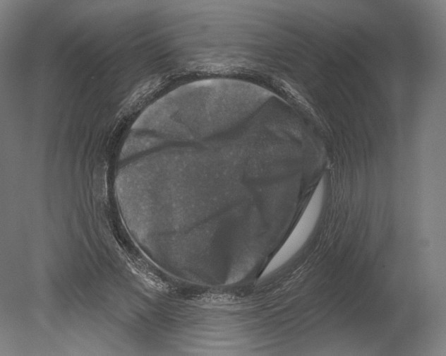 X0000080150685200701051540