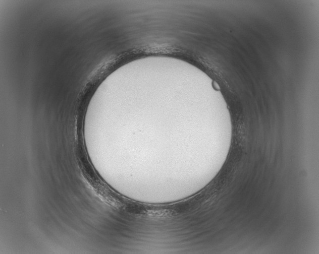 X0000080150686200701051540