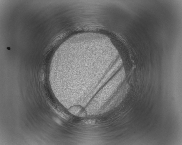 X0000080150687200701051540