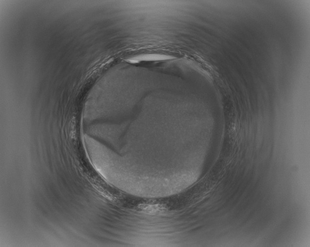 X0000080150689200701051540
