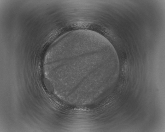 X0000080150693200701051540