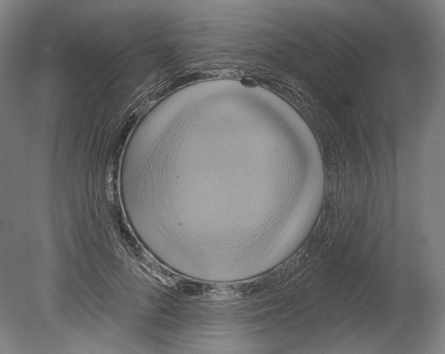 X0000080150696200701051540