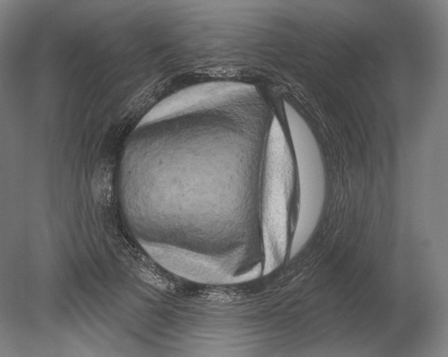 X0000080150697200701051540