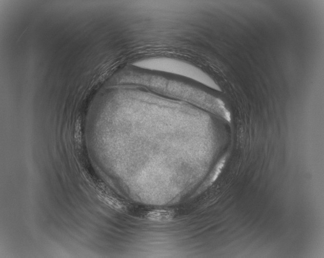 X0000080150700200701051540