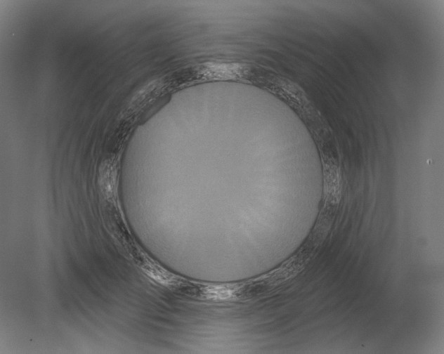 X0000080150701200701051540