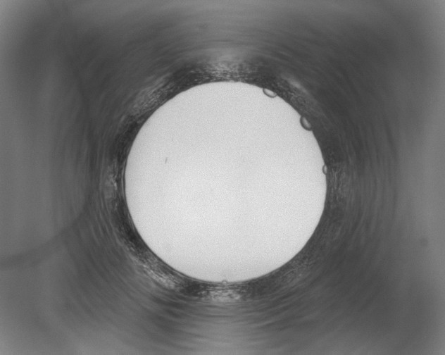 X0000080150702200701051539