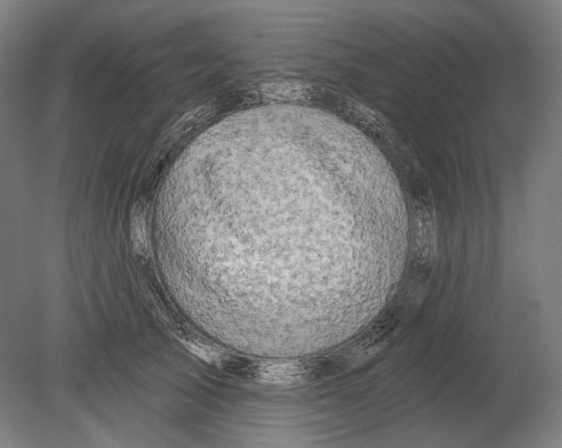 X0000080150705200701051539