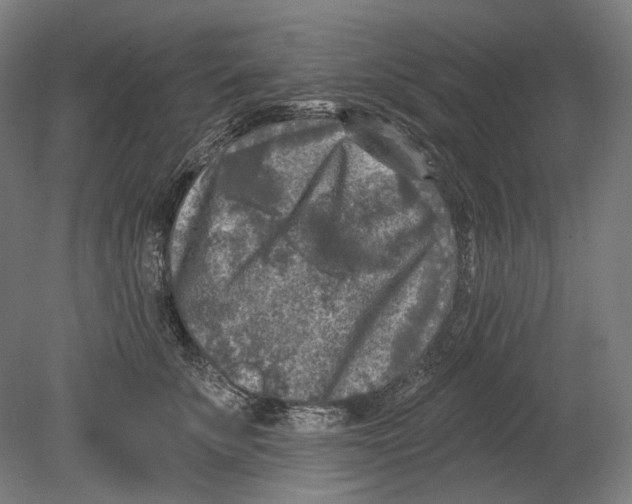X0000080150707200701051539