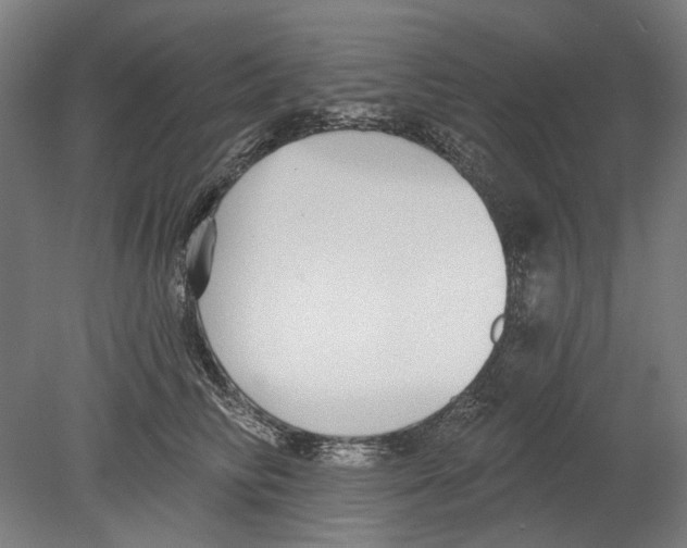 X0000080150710200701051539