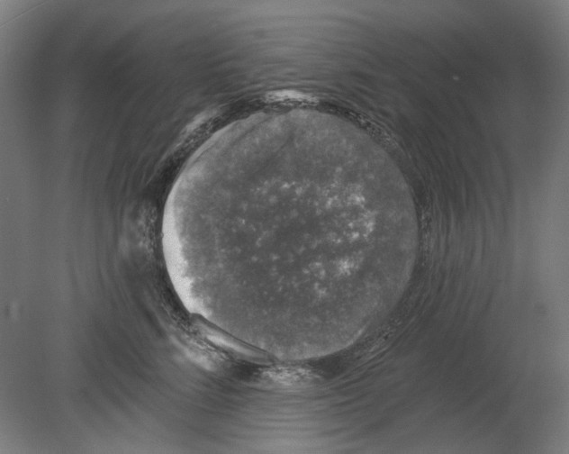 X0000080150712200701051539