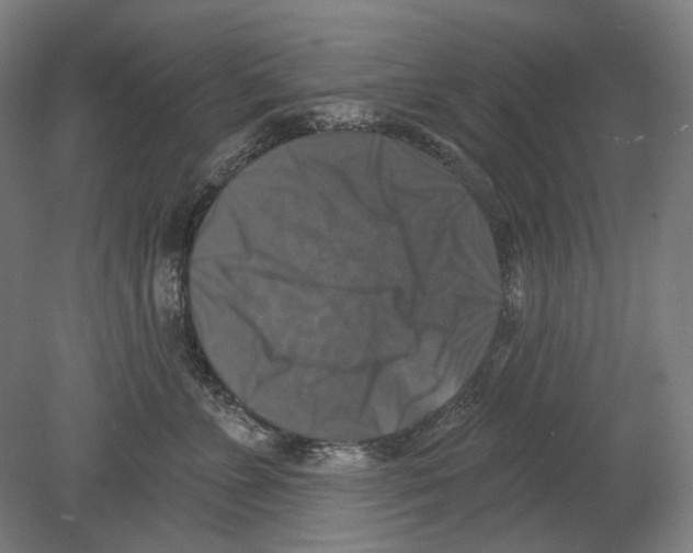 X0000080150715200701051539
