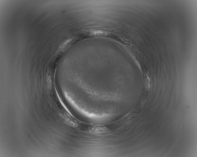 X0000080150716200701051539