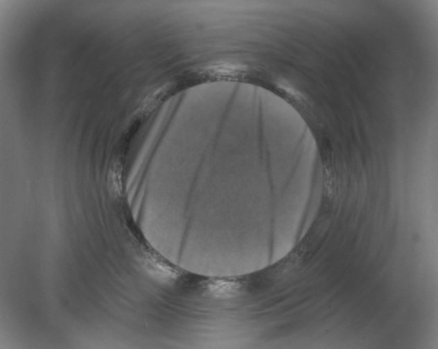 X0000080150718200701051539