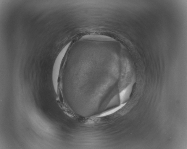 X0000080150720200701051539