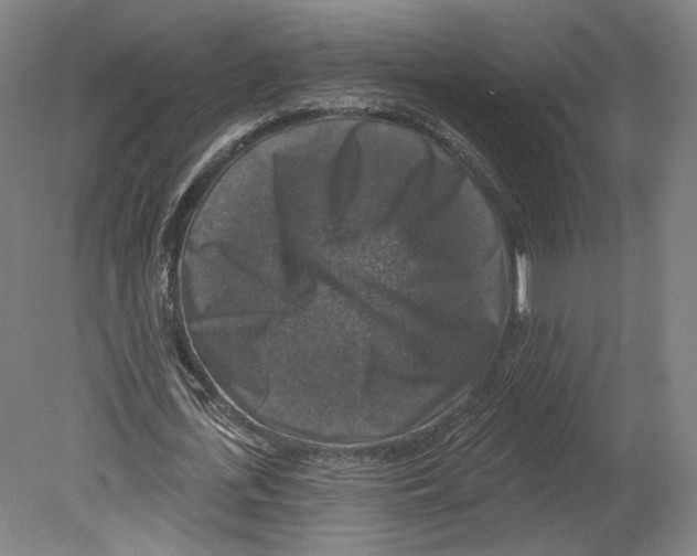 X0000080150723200701051538