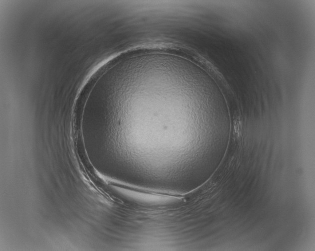 X0000080150724200701051538