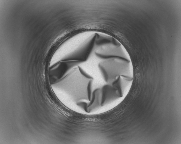 X0000080150727200701051538