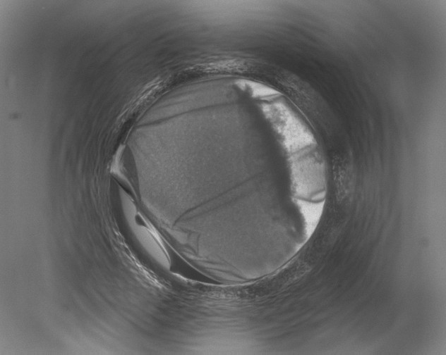 X0000080150729200701051539