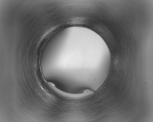 X0000080150732200701051539
