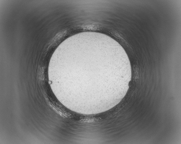X0000080150738200701051539