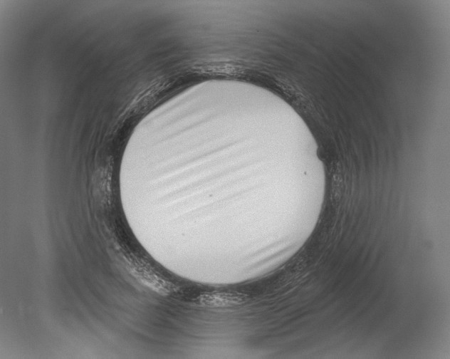 X0000080150739200701051539