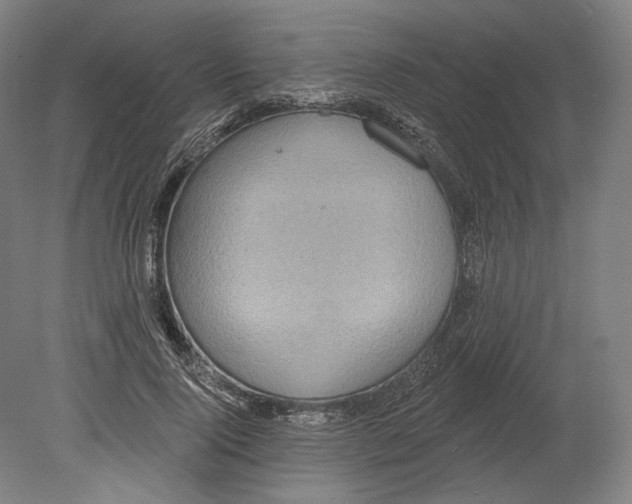 X0000080150740200701051539