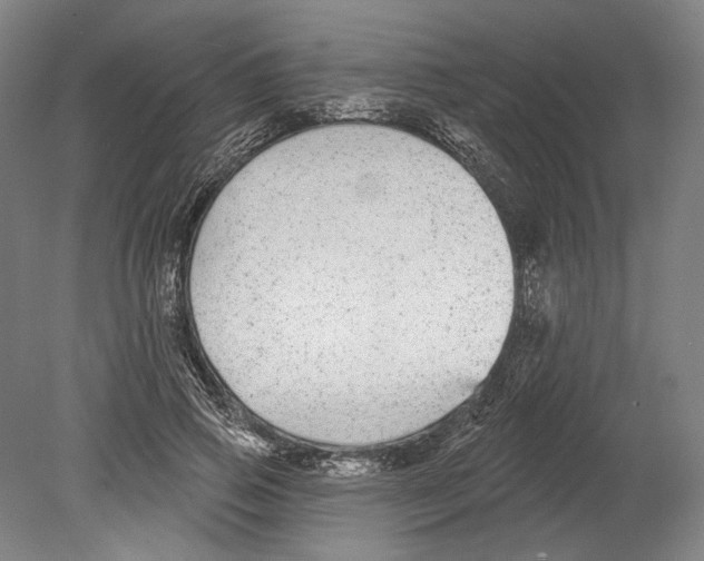 X0000080150741200701051539