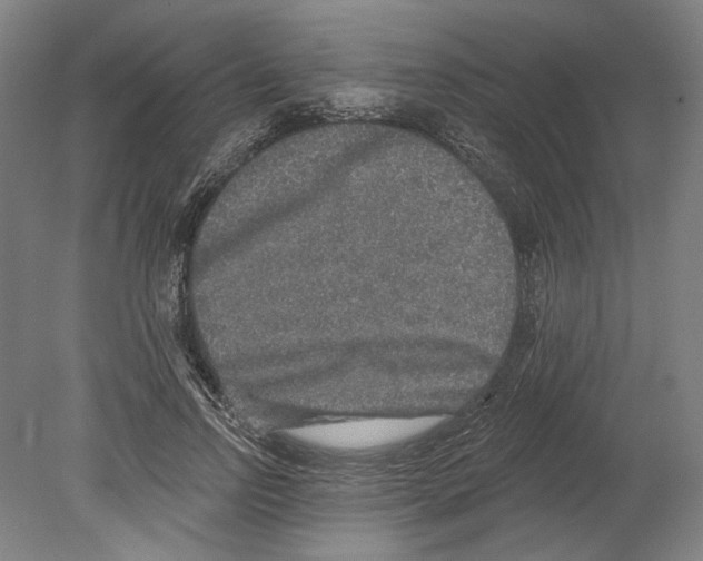 X0000080150742200701051539