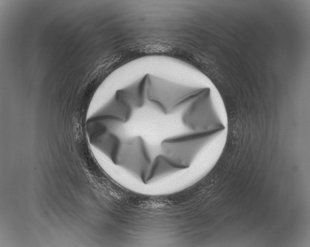 X0000080150743200701051539